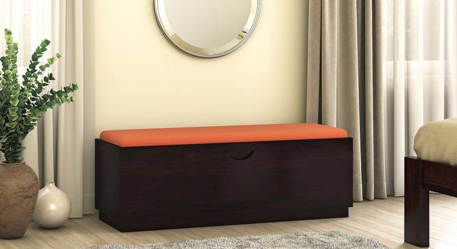 Zephyr Blanket Box (Mahogany Finish, Lava) by Urban Ladder - Full View Design 1 - 702320