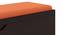 Zephyr Blanket Box (Mahogany Finish, Lava) by Urban Ladder - Close View Design 1 - 702325