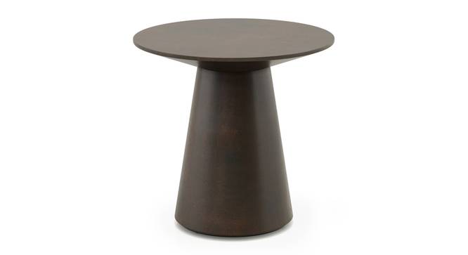 Odin End Table Finish - Mocha walnut (Mocha Walnut Finish) by Urban Ladder - Side View - 703128