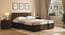 Covelo Storage Bed (Queen Bed Size, Box Storage Type, Rustic Walnut Finish) by Urban Ladder - Front View - 