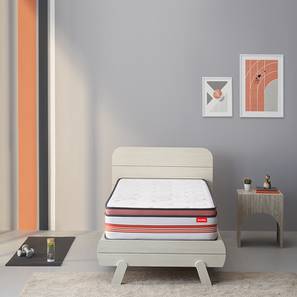 Boltt plus single size series lp