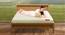 Prana - Organic Cotton Fabric King Size Spring Mattress (King, 8 in Mattress Thickness (in Inches), 84 x 72 in Mattress Size) by Urban Ladder - Design 1 Side View - 707118