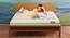Tatva - Organic Cotton Fabric Queen Size Latex Mattress (Queen, 78 x 60 in (Standard) Mattress Size, 6 in Mattress Thickness (in Inches)) by Urban Ladder - Design 1 Side View - 707719