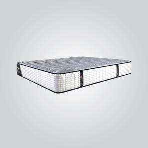 Mattresses Design Reactive Gold 6 Layered Euro Top Model Orthopaedic Memory Foam Back Support Medium Soft Luxury Bed Mattress - Single Size (Single Mattress Type, 8 in Mattress Thickness (in Inches), 72 x 36 in Mattress Size)