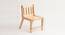 Medium Chair (Brown, Standard Size) by Urban Ladder - Design 1 Dimension - 711111