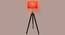 Crystal Red Cotton Floor Lamp with Solid Wood (Black) by Urban Ladder - Design 1 Side View - 712442