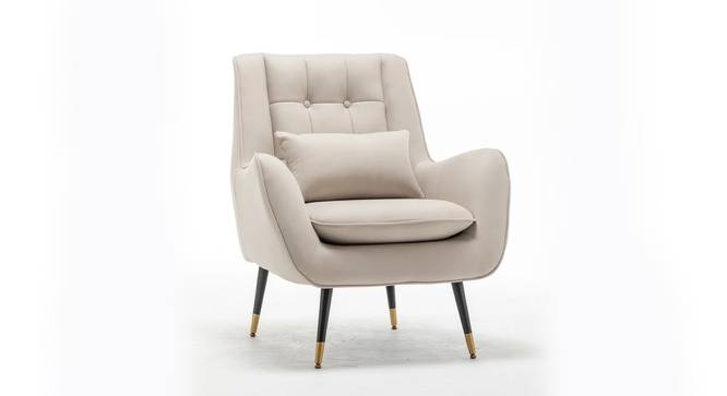 Dowdle Accent/Lounge Chair Beige (Beige, Black Finish) by Urban Ladder - Front View Design 1 - 713513