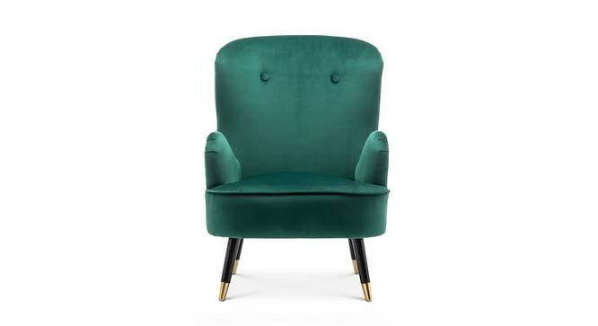 Epperly Chair With Ottoman  Green (Green, Black Finish) by Urban Ladder - Design 1 Side View - 713525