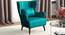 Azriela Accent/Lounge Chair Green (Green, Black Finish) by Urban Ladder - Ground View Design 1 - 713537