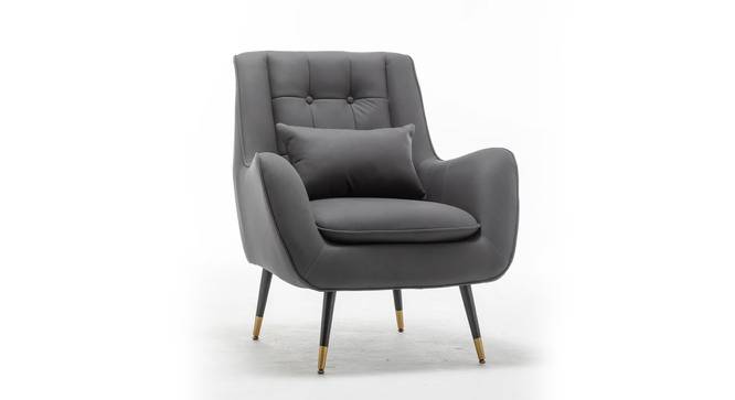 Dowdle Accent/Lounge Chair Grey (Grey, Black Finish) by Urban Ladder - Front View Design 1 - 713597