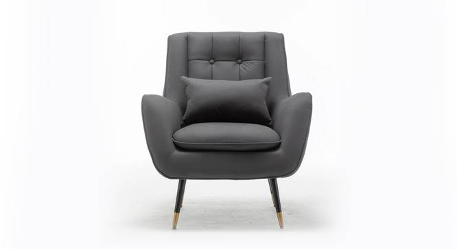 Dowdle Accent/Lounge Chair Grey (Grey, Black Finish) by Urban Ladder - Design 1 Side View - 713616
