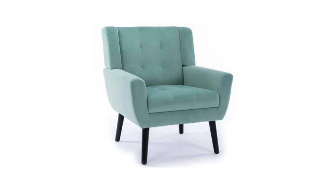 Micky Accent Chair  Green (Green, Black Finish) by Urban Ladder - Design 1 Side View - 713620