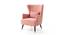 Azriela Accent/Lounge Chair Pink (Pink, Black Finish) by Urban Ladder - Front View Design 1 - 713683