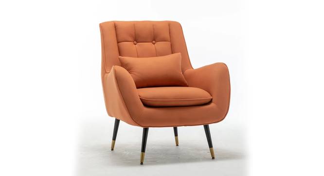 Dowdle Accent/Lounge Chair Orange (Orange, Black Finish) by Urban Ladder - Front View Design 1 - 713687