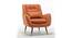 Dowdle Accent/Lounge Chair Orange (Orange, Black Finish) by Urban Ladder - Front View Design 1 - 713687