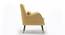 Dowdle Accent/Lounge Chair Yellow (Yellow, Black Finish) by Urban Ladder - Ground View Design 1 - 713746