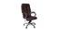 Adiko High Back Executive Chair ADXN WR BR HB 2015 (Brown) by Urban Ladder - Front View Design 1 - 713930