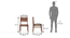 Arabia - Aries 6 Seater Dining Table Set (Teak Finish) by Urban Ladder - Dimension - 