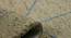 Glencoe Carpet (183 x 122 cm  (72" x 48") Carpet Size, Cedar) by Urban Ladder - Front View Design 1 - 718102