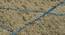 Glencoe Carpet (183 x 122 cm  (72" x 48") Carpet Size, Cedar) by Urban Ladder - Design 1 Close View - 718125
