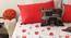 Springfield Bedsheet + 2 Pillow Covers - Multicolor (Double Size, Multicoloured) by Urban Ladder - Front View Design 1 - 718252