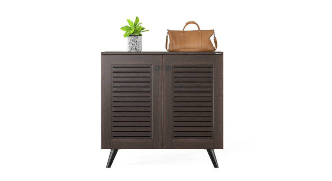 Carlem 2 Door Free Standing Engineered Wood Shoe Rack in Wenge Finish - RRV-000310 (Wenge Finish) by Urban Ladder - - 719006