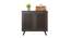 Carlem 2 Door Free Standing Engineered Wood Shoe Rack in Wenge Finish - RRV-000310 (Wenge Finish) by Urban Ladder - - 719006
