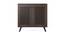 Carlem 2 Door Free Standing Engineered Wood Shoe Rack in Wenge Finish - RRV-000310 (Wenge Finish) by Urban Ladder - - 719192