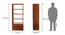 Vector Bookshelf/Display Unit (50-book capacity) (Teak Finish) by Urban Ladder - Dimension Design 1 - 
