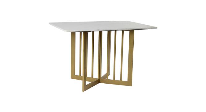 Allendale Marble 4 Seater Dining Table 1 (Powder Coating Finish) by Urban Ladder - Front View Design 1 - 719289