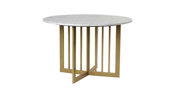 Allendale Marble 4 Seater Dining Table 2 (Powder Coating Finish) by Urban Ladder - Front View Design 1 - 719290
