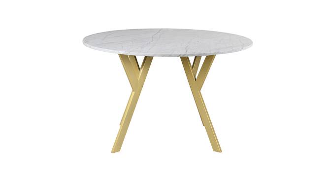 Armdale Marble 4 Seater Dining Table 2 (Powder Coating Finish) by Urban Ladder - Front View Design 1 - 719292