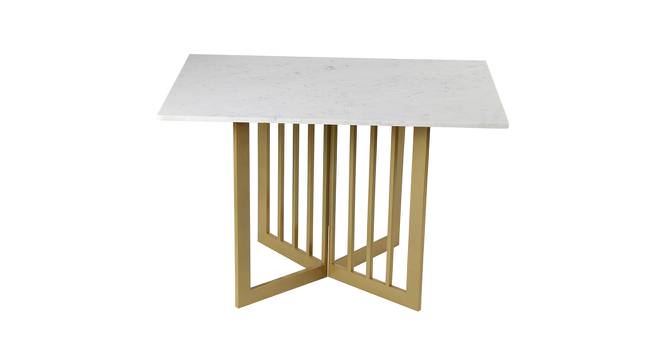 Allendale Marble 4 Seater Dining Table 1 (Powder Coating Finish) by Urban Ladder - Design 1 Side View - 719306