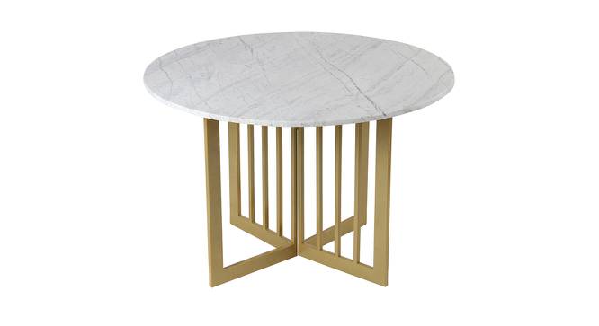 Allendale Marble 4 Seater Dining Table 2 (Powder Coating Finish) by Urban Ladder - Design 1 Side View - 719307