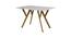 Armdale Marble 4 Seater Dining Table 1 (Powder Coating Finish) by Urban Ladder - Design 1 Side View - 719308