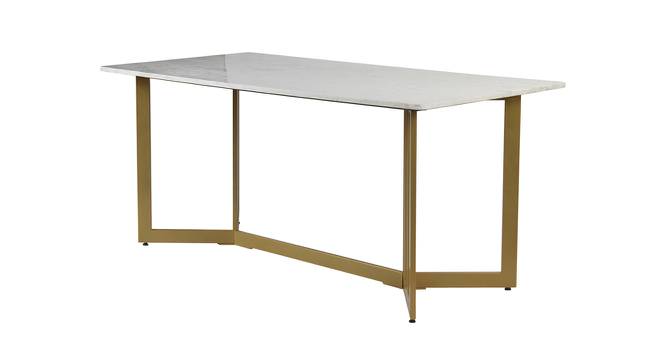 Allendale Marble 6 Seater Dining Table (Powder Coating Finish) by Urban Ladder - Design 1 Side View - 719309