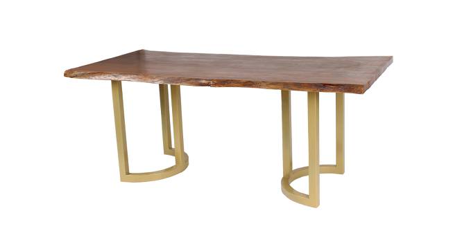 Aversa Acacia Wood 6 Seater Dining Table (Powder Coating Finish) by Urban Ladder - Design 1 Side View - 719312