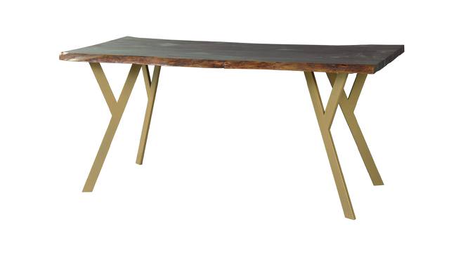 Armdale Acacia Wood 6 Seater Dining Table (Powder Coating Finish) by Urban Ladder - Design 1 Side View - 719315
