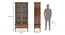 Malabar Bookshelf/Display Cabinet (55-book capacity) (Amber Walnut Finish) by Urban Ladder - Dimension - 