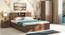 Amy Storage Bed With Headboard Storage - Queen - Classic Walnut (Queen Bed Size, Classic Walnut Finish) by Urban Ladder - Front View - 