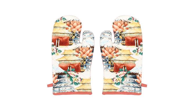 Hemis Gompa Gloves Multi (Multi) by Urban Ladder - Front View Design 1 - 720899