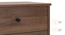 Ben 4 Chest Of Drawers - Dark Wenge (Classic Walnut Finish) by Urban Ladder - Top Image - 