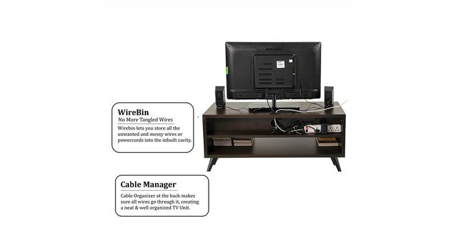Leo Engineered Wood TV Unit in Wenge Finish (Brown Finish) by Urban Ladder - Rear View Design 1 - 