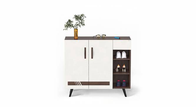 Oleye Free Standing Engineered Wood Shoe Rack in Wenge & White Finish (Matte Finish) by Urban Ladder - Front View Design 1 - 