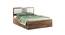 FLORA QUEEN BED WITH BOX STORAGE (Walnut Finish, Queen Bed Size) by Urban Ladder - Front View Design 1 - 723769