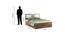 FLORA QUEEN BED WITH BOX STORAGE (Walnut Finish, Queen Bed Size) by Urban Ladder - Design 1 Dimension - 723813