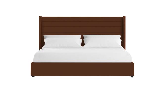 Caliya Primo Upholstery King Bed Without Storage In Brown (Queen Bed Size, Brown Finish) by Urban Ladder - Front View Design 1 - 725049