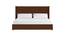 Caliya Primo Upholstery King Bed Without Storage In Brown (Queen Bed Size, Brown Finish) by Urban Ladder - Front View Design 1 - 725049