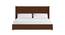 Caliya Primo Upholstery King Bed Without Storage In Brown (Queen Bed Size, Brown Finish) by Urban Ladder - Front View Design 1 - 725049