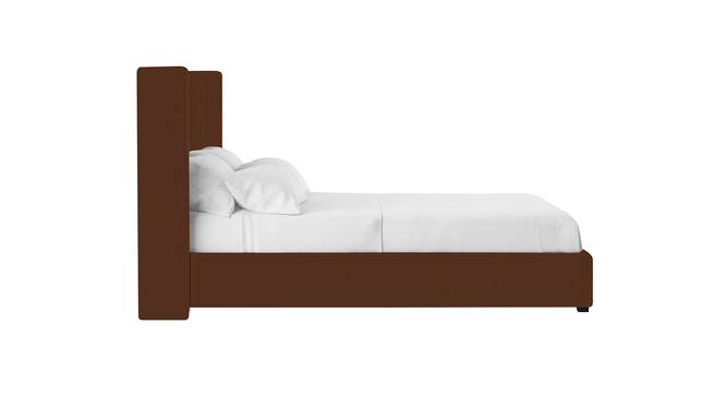 Caliya Primo Upholstery King Bed Without Storage In Brown (Queen Bed Size, Brown Finish) by Urban Ladder - Design 1 Side View - 725058